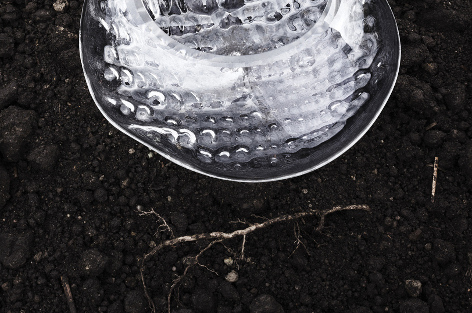 DO KORZENI | INTO THE ROOTS